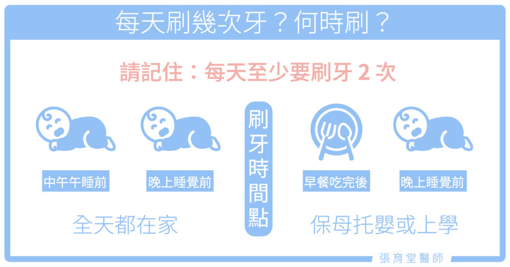 每天刷幾次牙？什麼時候刷？