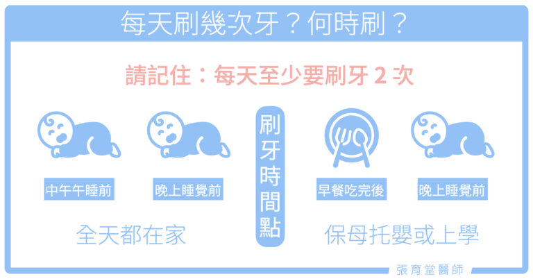 每天刷幾次牙？什麼時候刷？